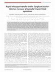 Research paper thumbnail of Rapid nitrogen transfer in the Sorghum bicolor: Glomus mosseae arbuscular mycorrhizal symbiosis