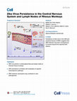 Research paper thumbnail of Zika Virus Persistence in the Central Nervous System and Lymph Nodes of Rhesus Monkeys