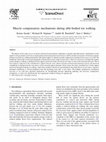 Research paper thumbnail of Muscle compensatory mechanisms during able-bodied toe walking