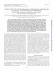 Research paper thumbnail of Cholest-4-En-3-One- 1-Dehydrogenase, a Flavoprotein Catalyzing the Second Step in Anoxic Cholesterol Metabolism