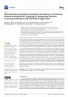 Research paper thumbnail of Rainfall-Induced Shallow Landslide Detachment, Transit and Runout Susceptibility Mapping by Integrating Machine Learning Techniques and GIS-Based Approaches