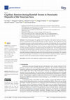 Research paper thumbnail of Capillary Barriers during Rainfall Events in Pyroclastic Deposits of the Vesuvian Area