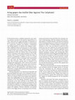 Research paper thumbnail of Wieland Schneider (2015): Krieg gegen das Kalifat