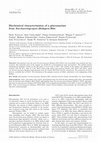 Research paper thumbnail of Biochemical characterization of a glucoamylase from Saccharomycopsis fibuligera R64