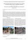 Research paper thumbnail of From the General Documentation of Hadrian's Villa to Design Analysis of Complex Cupolas: A Procedural Approach