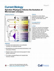 Research paper thumbnail of Spiralian Phylogeny Informs the Evolution of Microscopic Lineages