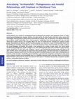 Research paper thumbnail of Articulating “archiannelids”: Phylogenomics and annelid relationships, with emphasis on meiofaunal taxa