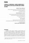 Research paper thumbnail of O Brasil e O Mercosul: Atores Domésticos e Oscilações Da Política Externa Nos Últimos 30 Anos