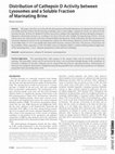 Research paper thumbnail of Distribution of Cathepsin D Activity between Lysosomes and a Soluble Fraction of Marinating Brine