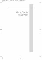 Research paper thumbnail of Global Diversity Management: an evidence based approach