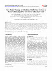 Research paper thumbnail of Mass Foliar Damage at Subalpine-Timberline Ecotone in Western Himalaya Due to Extreme Climatic Events