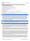 Research paper thumbnail of Purification of Biotinylated Cell Surface Proteins from Rhipicephalus microplus Epithelial Gut Cells