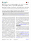 Research paper thumbnail of Draft Genome Sequences of Campylobacter fetus subsp. venerealis bv. venerealis Strain B6 and bv. intermedius Strain 642-21