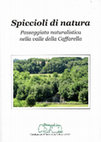 Research paper thumbnail of Il paesaggio vegetale della Valle della Caffarella