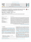 Research paper thumbnail of Citrus tristeza virus-based RNAi in citrus plants induces gene silencing in Diaphorina citri, a phloem-sap sucking insect vector of citrus greening disease (Huanglongbing)