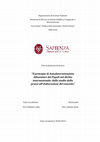 Research paper thumbnail of Il principio di autodeterminazione alimentare dei popoli nel diritto internazionale: dallo studio della prassi all'elaborazione del concetto