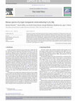 Research paper thumbnail of Raman spectra of p-type transparent semiconducting Cr2O3:Mg