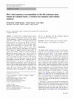 Research paper thumbnail of BAC end sequences corresponding to the B4 resistance gene cluster in common bean: a resource for markers and synteny analyses