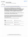 Research paper thumbnail of New remains of Eleutherocercus (Xenarthra, Cingulata, Glyptodontidae) from the Pampean and Northwestern regions of Argentina: morphology and phylogeny of late Neogene Doedicurinae