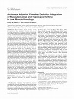 Research paper thumbnail of Archosaur Adductor Chamber Evolution: Integration of Musculoskeletal and Topological Criteria in Jaw Muscle Homology