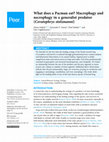 Research paper thumbnail of What does a Pacman eat? Macrophagy and necrophagy in a generalist predator (Ceratophrys stolzmanni)