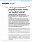 Research paper thumbnail of Anthropogenic interferences lead to gut microbiome dysbiosis in Asian elephants and may alter adaptation processes to surrounding environments