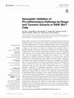 Research paper thumbnail of Synergistic Inhibition of Pro-Inflammatory Pathways by Ginger and Turmeric Extracts in RAW 264.7 Cells