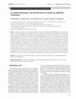 Research paper thumbnail of An updated phylogeny and classification of Lamiaceae subfamily Lamioideae