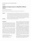 Research paper thumbnail of HOTAIR: an oncogenic long non-coding RNA in different cancers