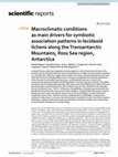 Research paper thumbnail of Macroclimatic conditions as main drivers for symbiotic association patterns in lecideoid lichens along the Transantarctic Mountains, Ross Sea region, Antarctica