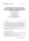 Research paper thumbnail of Análisis Mediante Geomática De Tres Retablos Barrocos en El Sureste Español: La Singularidad De Un Patrimonio Religioso De Interés Turístico