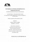 Research paper thumbnail of Acción pública y organizaciones civiles: el caso del ciclismo urbano en la Ciudad de México y Guadalajara