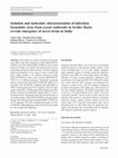 Research paper thumbnail of Isolation and molecular characterization of infectious bronchitis virus from recent outbreaks in broiler flocks reveals emergence of novel strain in India