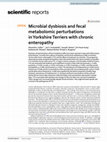 Research paper thumbnail of Microbial dysbiosis and fecal metabolomic perturbations in Yorkshire Terriers with chronic enteropathy