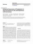 Research paper thumbnail of Enhanced Expression of Podoplanin in Oral Carcinomas in situ and Squamous Cell Carcinomas