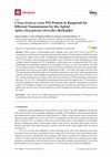 Research paper thumbnail of Citrus tristeza virus P33 Protein Is Required for Efficient Transmission by the Aphid Aphis (Toxoptera) citricidus (Kirkaldy)