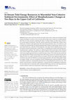 Research paper thumbnail of In-Stream Tidal Energy Resources in Macrotidal Non-Cohesive Sediment Environments: Effect of Morphodynamic Changes at Two Bays in the Upper Gulf of California