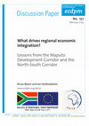 Research paper thumbnail of What drives regional economic integration ? Lessons from the Maputo Development Corridor and the North-South Corridor