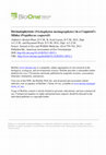 Research paper thumbnail of Dermatophytosis ( Trichophyton mentagrophytes ) in a Coquerel's Sifaka ( Propithecus coquereli )