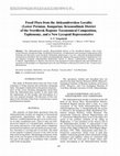 Research paper thumbnail of Fossil flora from the Aleksandrovskoe locality (Lower Permian, Kungurian; Krasnoufimsk district of the Sverdlovsk Region): Taxonomical composition, taphonomy, and a new lycopsid representative