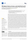 Research paper thumbnail of The Impact of Oulema melanopus—Associated Bacteria on the Wheat Defense Response to the Feeding of Their Insect Hosts