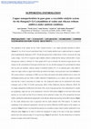 Research paper thumbnail of Copper nanoparticulates in Guar-gum: a recyclable catalytic system for the Huisgen [3 + 2]-cycloaddition of azides and alkynes without additives under ambient conditions