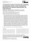 Research paper thumbnail of A Comparative Analysis of Antimicrobial, Antibiofilm and Antioxidant Activity of Silver Nanoparticles Synthesized from &lt;i&gt;Erythrina Suberosa&lt;/i&gt; Roxb. and &lt;i&gt;Ceiba Pentandra&lt;/i&gt