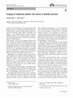 Research paper thumbnail of Imaging of meibomian glands: from bench to bedside and back