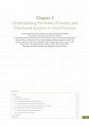 Research paper thumbnail of Chapter 2 Understanding the Roles of Forests and Tree-based Systems in Food Provision Coordinating lead