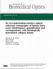 In vivo polarization-sensitive optical coherence tomography of human burn scars: birefringence quantification and correspondence with histologically determined collagen density Cover Page