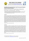 Research paper thumbnail of Identifikasi Karakteristik Tanah Untuk Perencanaan Subgrade Pada Kecamatan Siliragung