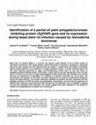 Research paper thumbnail of Identification of a partial oil palm polygalacturonase-inhibiting protein (EgPGIP) gene and its expression during basal stem rot infection caused by Ganoderma boninense