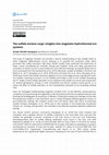 Research paper thumbnail of The sulfide enclave cargo: Insights into magmatic-hydrothermal ore systems