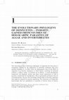 Research paper thumbnail of The Evolutionary Phylogeny of Oomycetes—Insights Gained from Studies of Holocarpic Parasites of Algae and Invertebrates